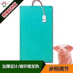 可调温养殖猪用电热板猪场小猪用取暖设备电加热板批发