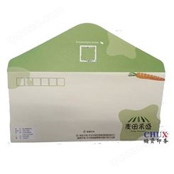 资料袋印刷定制 上海薪资单印刷定制