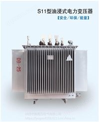 10KV三相S11-250KVA油浸式电力变压器200/800/1000/1250KW高压铜宇国