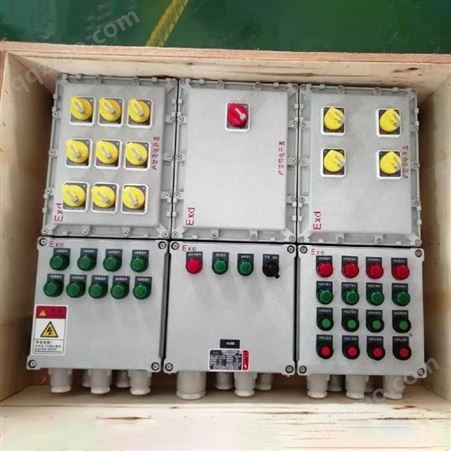 13回路带总开防爆配电箱BXM（D）51-13K 油泵房防爆照明配电箱