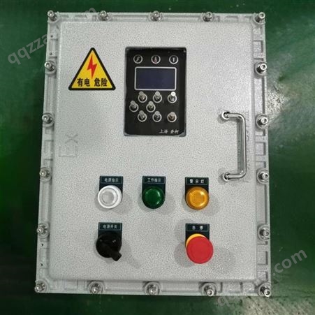 带按键操作防爆仪表箱BXK 不锈钢防爆仪表控制箱厂家