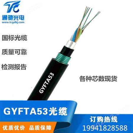 室外光缆直埋地埋双铠双护套GYTA53-24B1芯层绞式光纤铠装通驰光电光缆