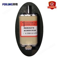 RSM02MZ80KN熔断器订做-FENLONG品牌