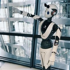 北京市 本地智能机器人租赁天租 迎宾助理机器人