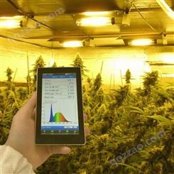 手持式植物光谱仪 水培植物PPFD检测仪