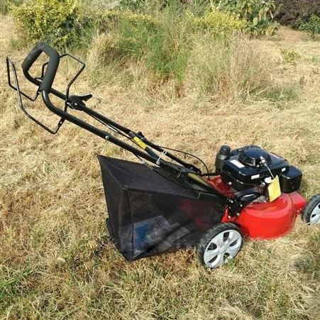 立安整理草坪机器 9马力快速型草坪修剪机