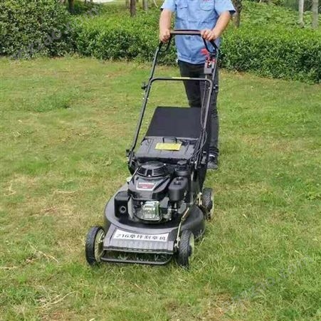 立安城市花园修剪草坪机 OHV发动机草坪机
