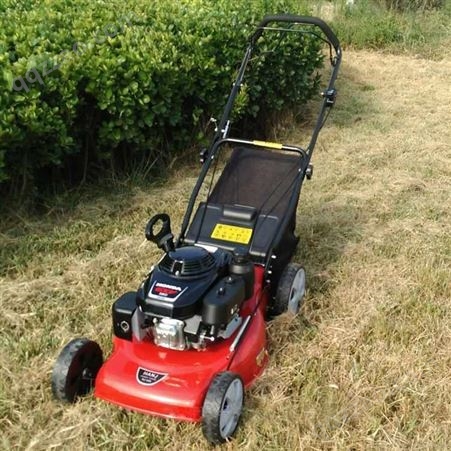 立安整理草坪机器 9马力快速型草坪修剪机