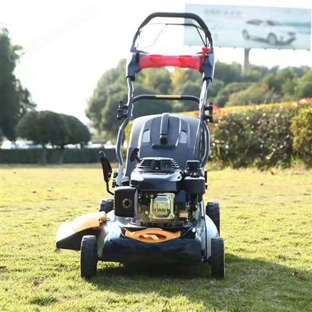 立安城市花园修剪草坪机 OHV发动机草坪机