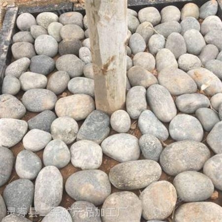 琳珑现货供应河道鹅卵石 水处理鹅卵石 变压器鹅卵石5-8cm