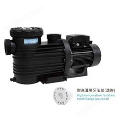 杭州泳池循环水泵 瑞凯泳池RB系列5.5KW循环过滤水泵 温泉水疗泵