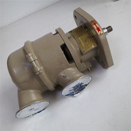 双吸离心水泵 柴油机海水泵 不锈钢深井泵 三丰