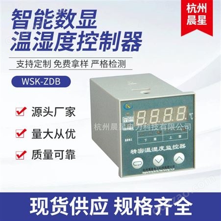 厂家专业定制 WSK-ZDB 智能温湿度控制器 智能温湿度度控制调节器 杭州晨星电力