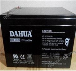 DAHUA蓄电池DHB12120 12V12AH大华蓄电池UPS应急电池通讯尺寸规格