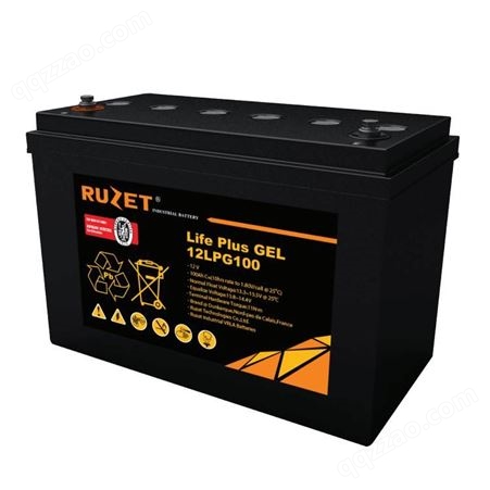 路盛(RUZET)蓄电池12LPG65 12V65AH法国路盛电池UPS直流屏电池