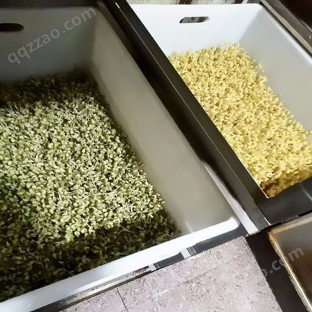 江西豆芽机  商用豆芽机日产200斤豆芽生产线可定做