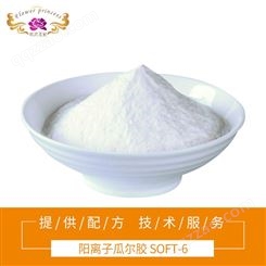 京昆化学阳离子透明瓜尔胶 SOFT-6头发调理剂化妆品级C162S 1kg