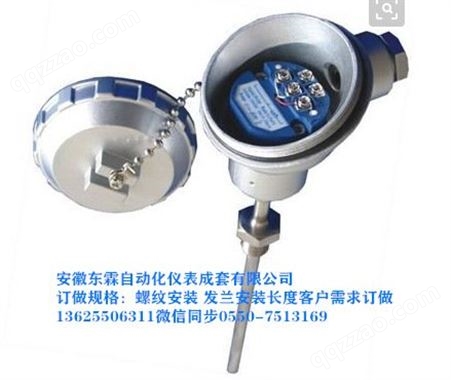 东霖 K型铠装热电偶 WRNK-191 E型J型热电偶 探针热电偶 温度传感器