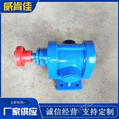 生产齿轮油泵 不锈钢齿轮泵 小流量齿轮泵