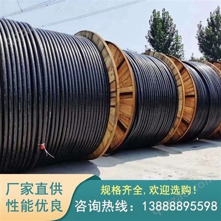 云南电缆 云南YJV22-3150高压电缆 高压电缆 欢迎致电 可供货云南 昆明电缆类型