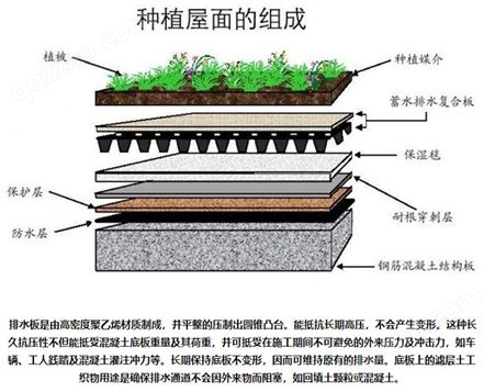 聚乙烯车库顶板|绿化排水板|20滤水板 靠谱生产