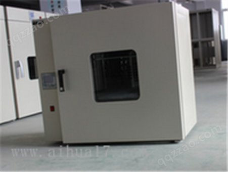 AHGD-1000L厂家非标定制1000L鼓风干燥箱