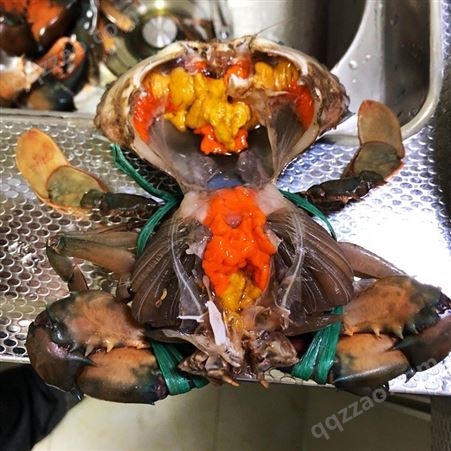 缅甸蟹  肉质细嫩 缅甸蟹青蟹