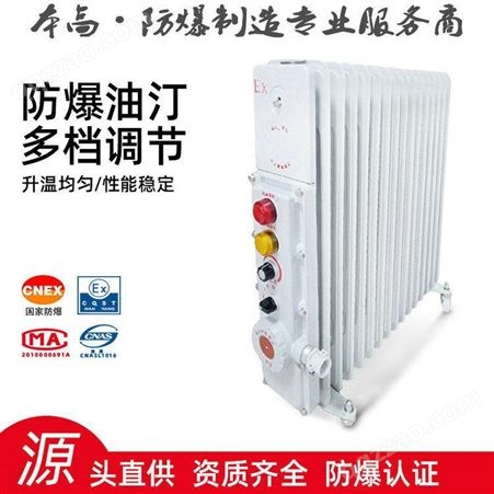 本高防爆油汀冬季电热取暖器隔爆密闭式电暖器暖气片定制