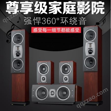 HiVi 惠威 RM600MK II 5.0声道 家庭影院系统 客厅音响