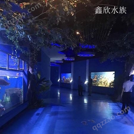 鑫欣水族观赏亚克力鱼缸定做 生态鱼缸 办公室水族箱设计