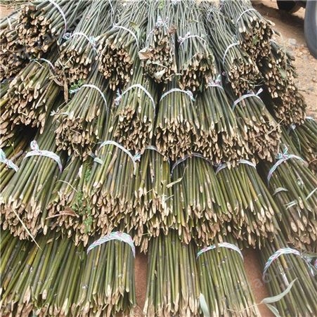 豆角搭架竹竿 竹条 2米-3米菜架竿 竹架 江西竹竿厂家自产自销
