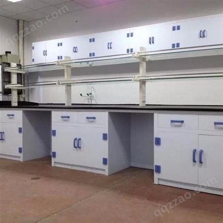 成都实验台  通风柜 实验柜 金奥 实验室家具  钢木材质 质优价廉