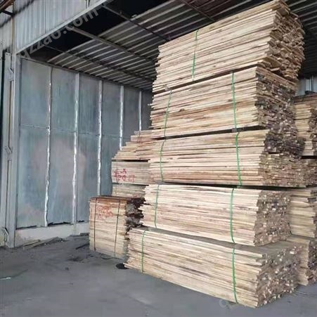 钜派 木材烘干箱 红木干燥设备 箱式竹叶烘干房 定制