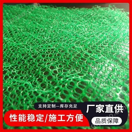 三维植被网 三维土工网垫专业生产 产品价格 诺联工程