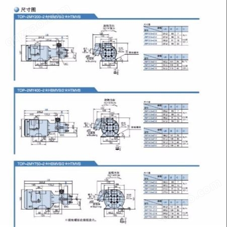 NOP油泵TOP-2MY400-203HWMPVB 带过滤器 日本NOP油泵品质保障直销