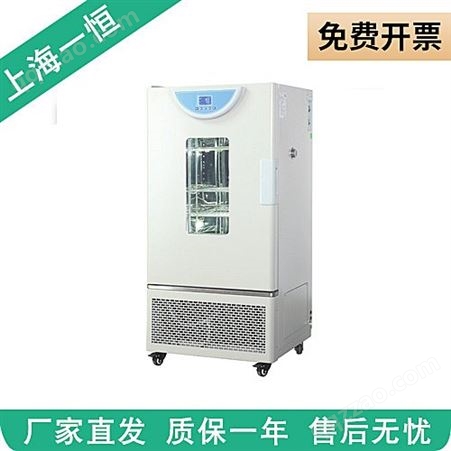 上海一恒真空干燥箱BPZ-6933LC