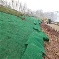 泰安诺联厂家销售护坡三维植被网 公路绿化EM2三维土工网垫 植草护坡网