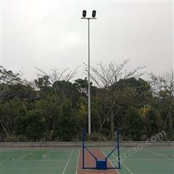 6米篮球场灯杆 单双臂一拖二灯头篮球场灯杆 优格体育
