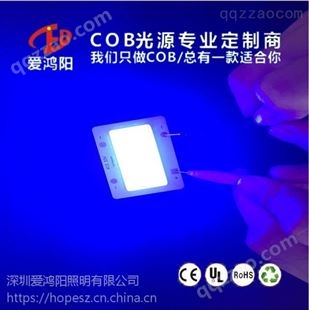 A13-W紫光COB光源 365NM 固化专用COB光源 尺寸 形状定制 专业COB定制