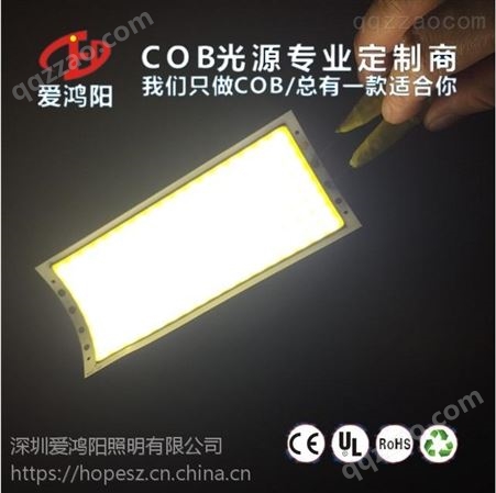 N521-10W定制能弯曲COB LED灯珠 柔性COB 12V 美容灯COB光源